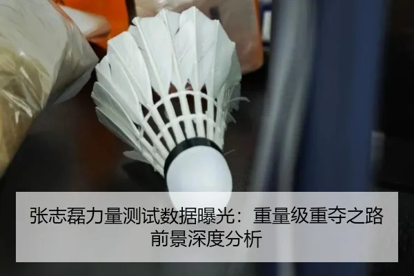 张志磊力量测试数据曝光:重量级重夺之路前景深度分析